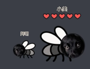 蒼蠅的臉換成框出來的小狗臉,上面是觀眾名字